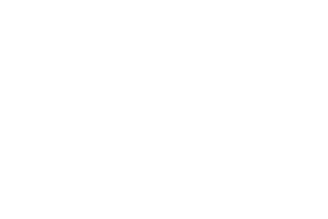 WSDC logo